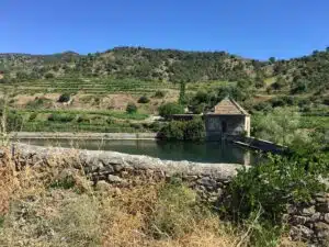 Stored water at Vineyard
